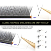 Synthetic Hair OEM Classic Eyelash Extension Daily